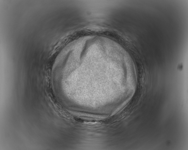 X0000115731397200912101441