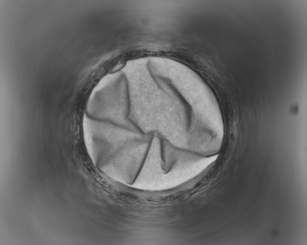X0000115731398200912101441