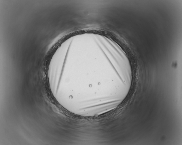 X0000115731400200912101441