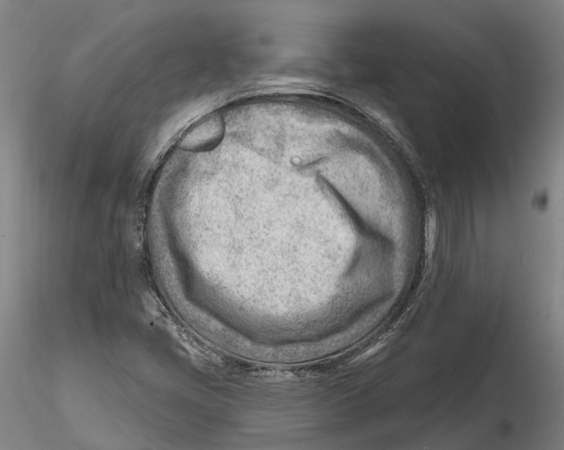 X0000115731405200912101441