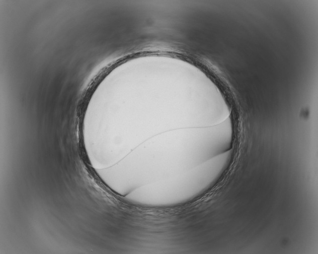 X0000115731408200912101441