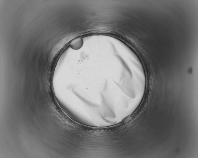 X0000115731410200912101441