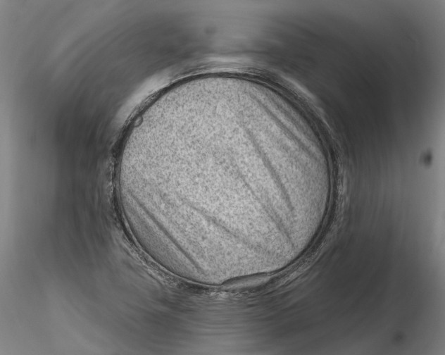X0000115731411200912101441