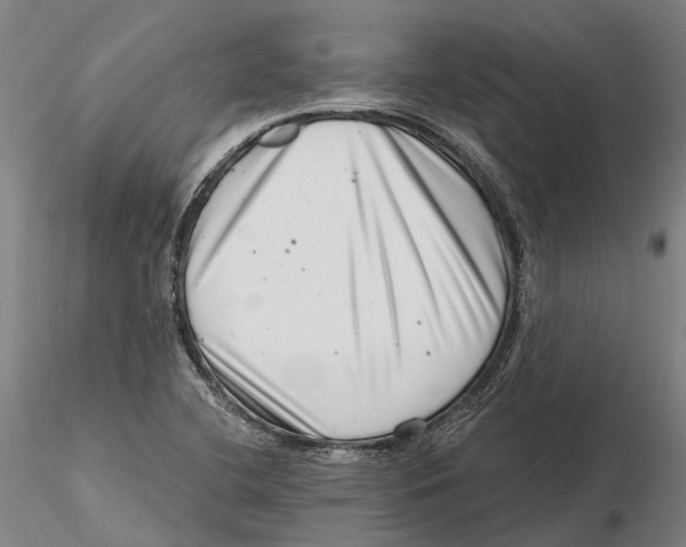 X0000115731412200912101441