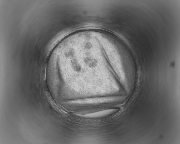 X0000115731413200912101441