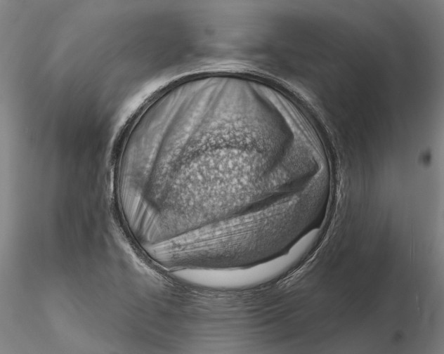 X0000115731414200912101441