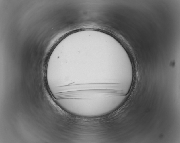 X0000115731416200912101441