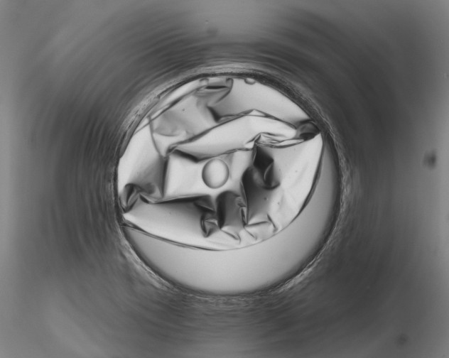 X0000115731417200912101441