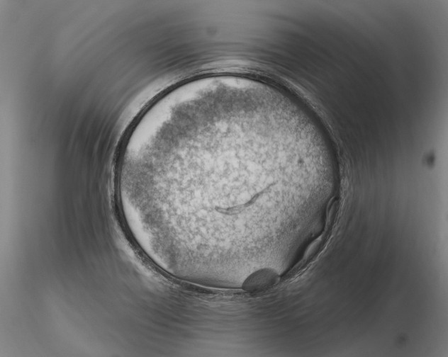 X0000115731418200912101441