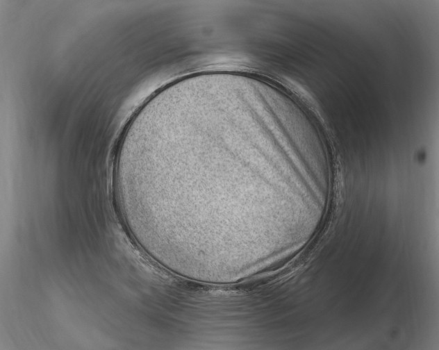 X0000115731419200912101441