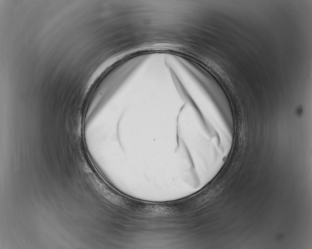 X0000115731420200912101441