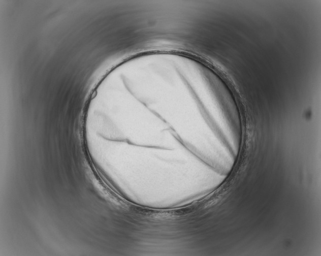 X0000115731421200912101441