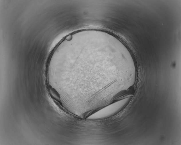 X0000115731422200912101441