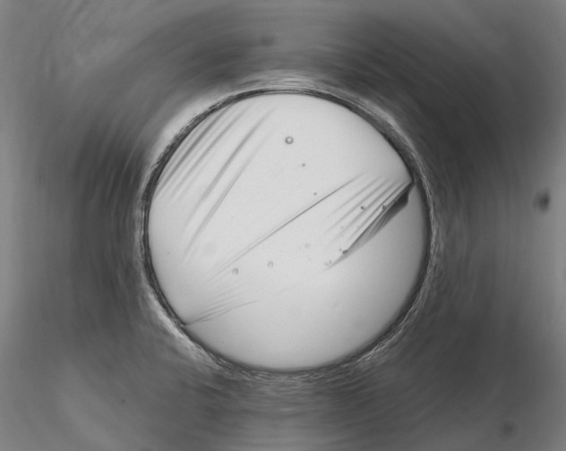 X0000115731424200912101441