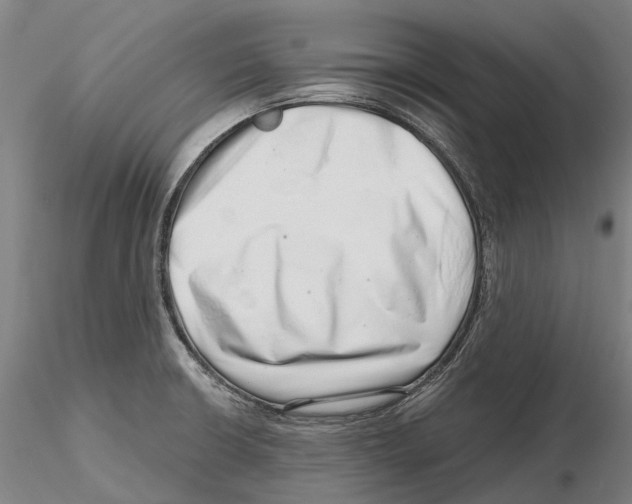 X0000115731426200912101441