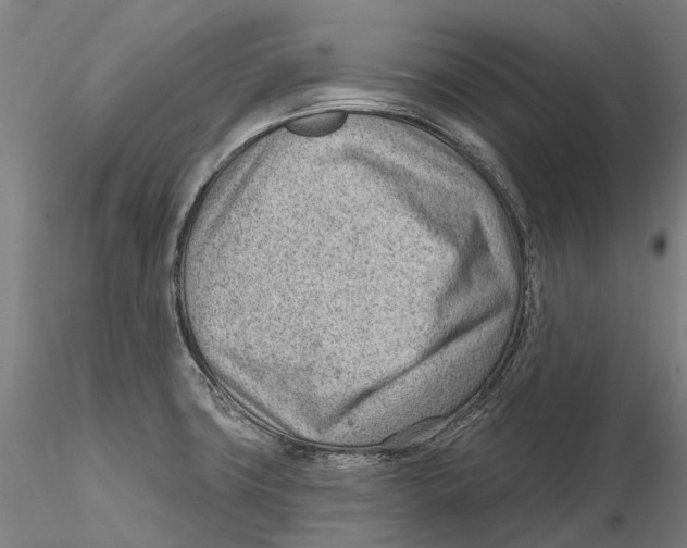 X0000115731427200912101441