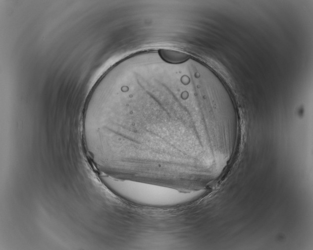 X0000115731428200912101441