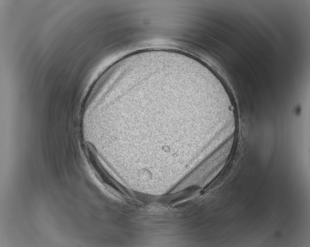 X0000115731429200912101441