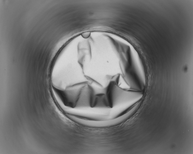 X0000115731430200912101441