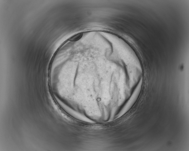 X0000115731431200912101441