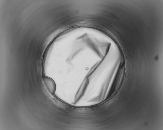X0000115731434200912101441