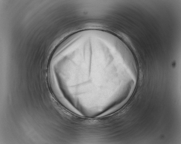 X0000115731435200912101441