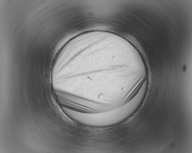 X0000115731436200912101441