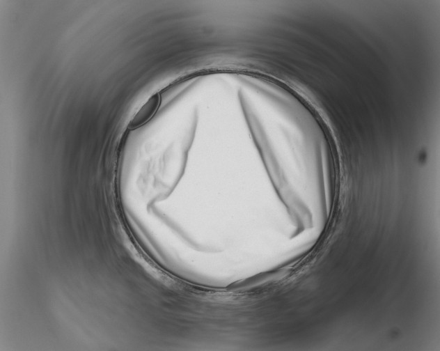 X0000115731437200912101441
