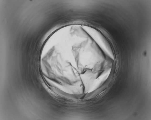 X0000115731438200912101441