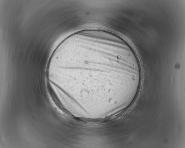 X0000115731440200912101441
