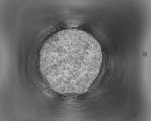 X0000115731441200912101440