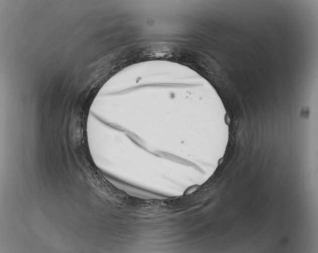 X0000115731442200912101440