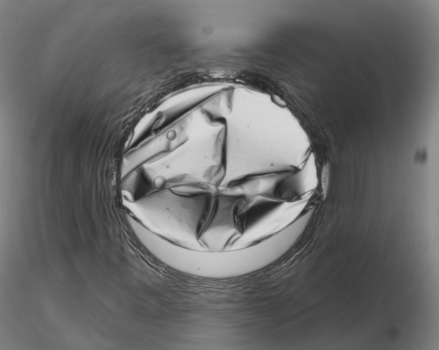 X0000115731443200912101440