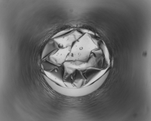 X0000115731444200912101440