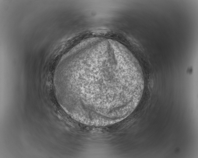 X0000115731445200912101440