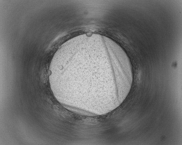 X0000115731446200912101440