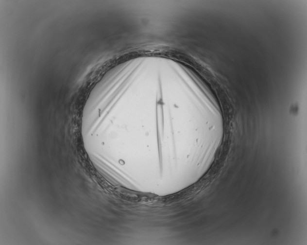 X0000115731447200912101440