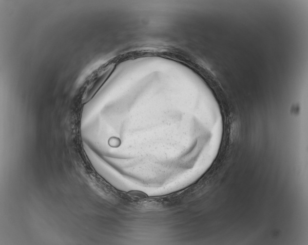 X0000115731448200912101440