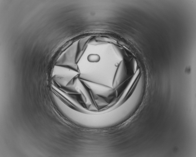 X0000115731449200912101440