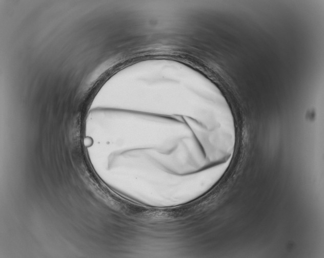 X0000115731450200912101440