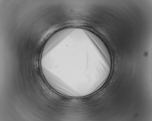 X0000115731451200912101440