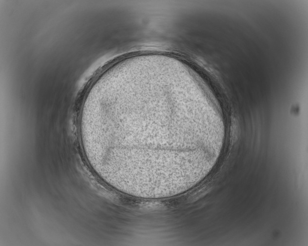 X0000115731454200912101440