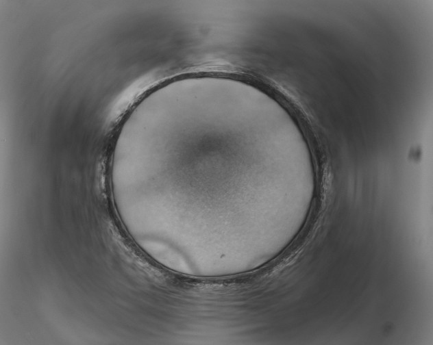 X0000115731455200912101440