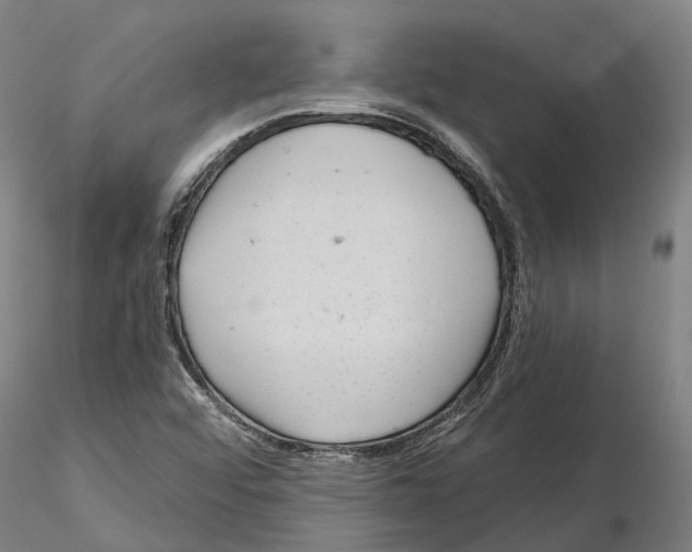 X0000115731456200912101440
