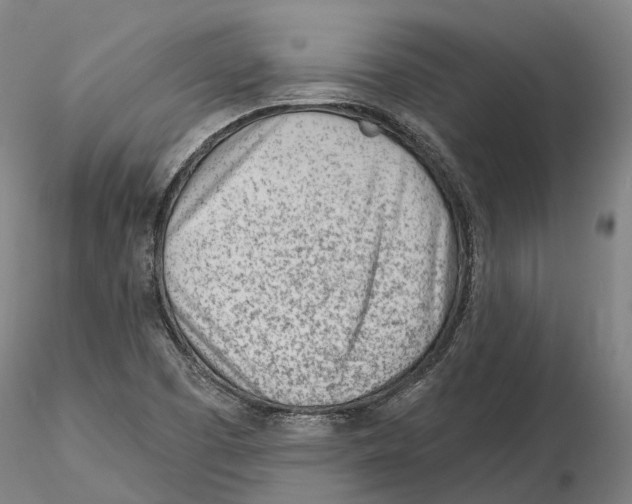 X0000115731457200912101440