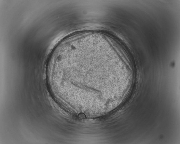 X0000115731459200912101440