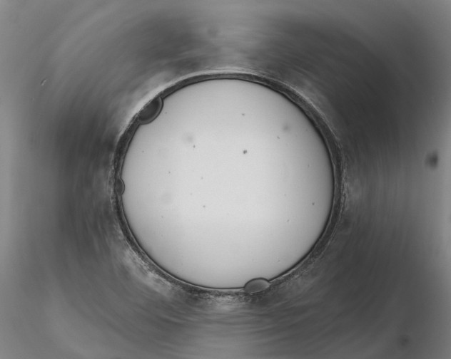 X0000115731460200912101440