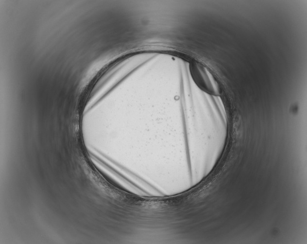 X0000115731461200912101440