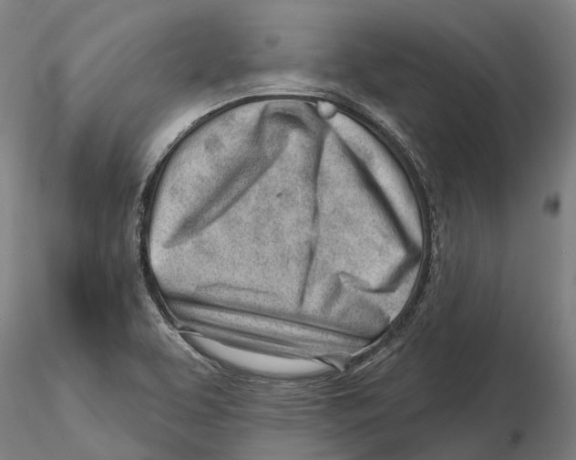 X0000115731463200912101440