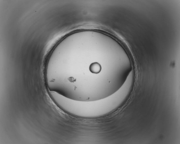 X0000115731464200912101440